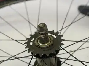 wiPiPJ5pHPTMhX54