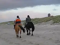 One example for Merkmal : Reiten