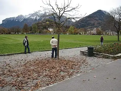 Ces messieurs jouent aux boules