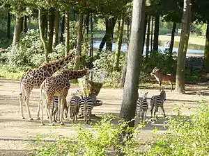 Burgers Zoo em Arnheim, NL, USA