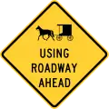 Horse-Drawn Carriage Using Road Ahead
