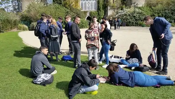Alunos examinam os dados obtidos com o seu smartphone