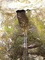 Quelle auf Mackinac Island in Michigan