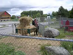 A typical tourism=attraction. Roadside attractions may contain other attractions