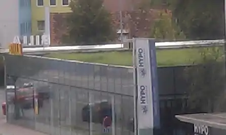 Dach, mit Gras bewachsen