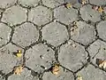 Hexagonal concrete paving stones