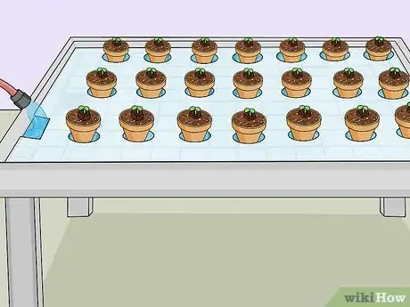 Image titled Build a Hydroponic Garden Step 14
