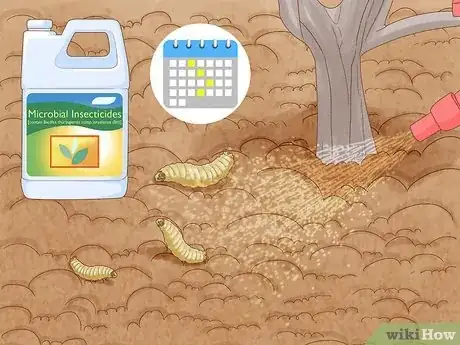 Image titled Get Rid of Fruit Flies in Plants Step 8