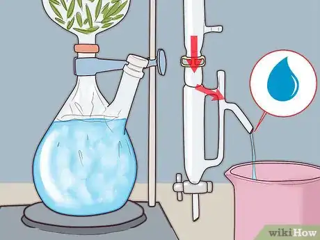 Image titled Make Tea Tree Oil Step 12