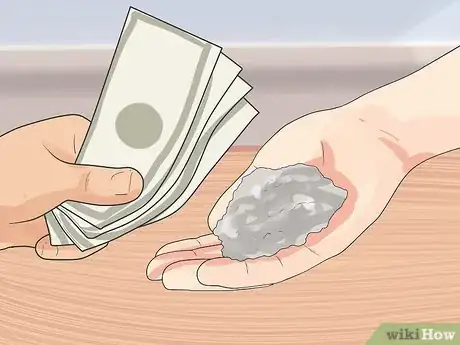 Image titled Take Care of a Land Turtle Step 10