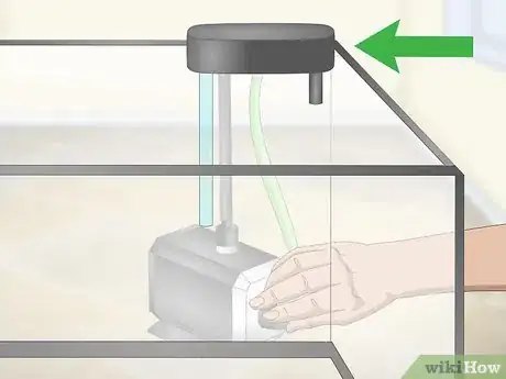 Image titled Take Care of Your Fish Step 8
