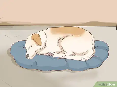 Image titled Treat Your Dog Step 2