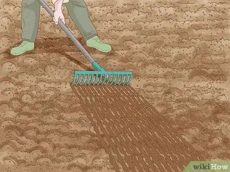 Image titled Plant Wheat Step 8