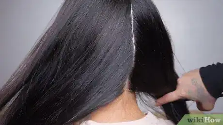 Image titled Do Two French Braids Step 1