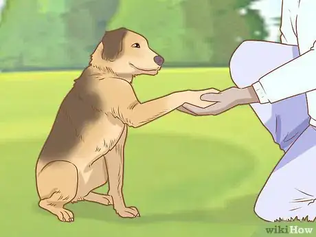 Image titled Treat Your Dog Step 9