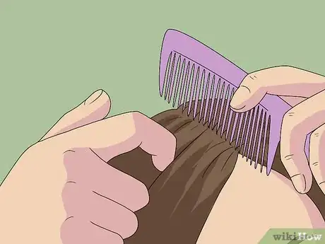 Image titled Do a Halo Braid Step 1