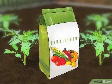 Image titled Prepare Garden Soil for Tomatoes Step 3