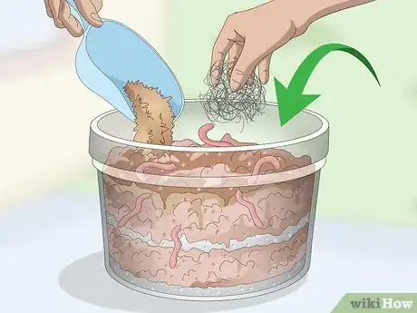 Image titled Feed Worm Farm Worms Step 3