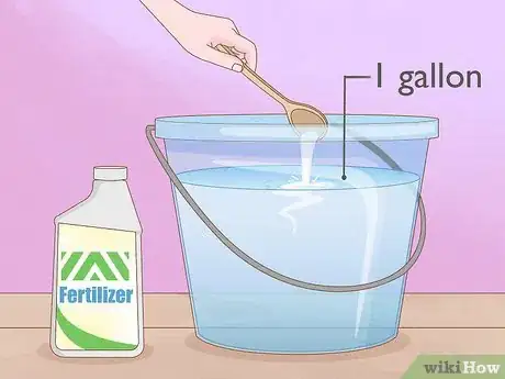 Image titled Get a Hoya Plant to Bloom Step 11