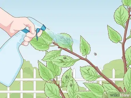 Image titled Deal with Cherry Tree Pests Step 6