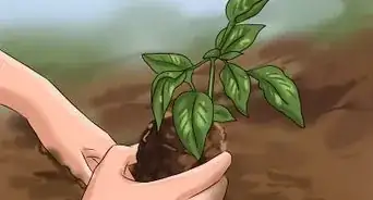 Become an Improved Version of Yourself