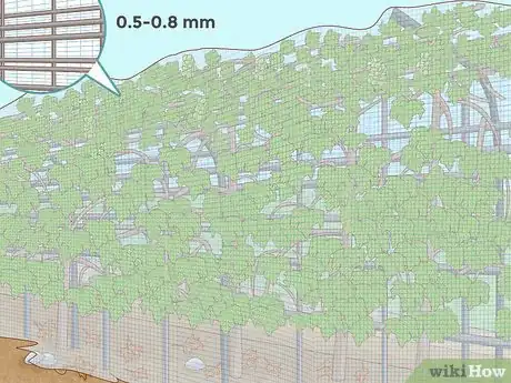 Image titled Protect Grapes from Insects Step 1