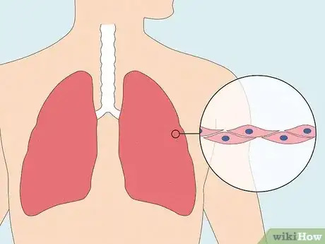 Image titled What Is Acetylcholine Step 3