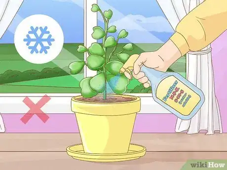 Image titled Get a Hoya Plant to Bloom Step 10