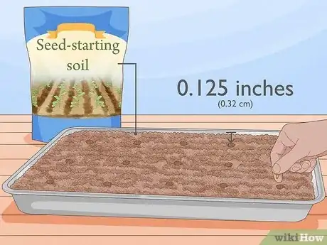 Image titled Plant Sycamore Tree Seeds Step 2