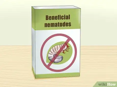 Image titled Get Rid of Grubs Step 4
