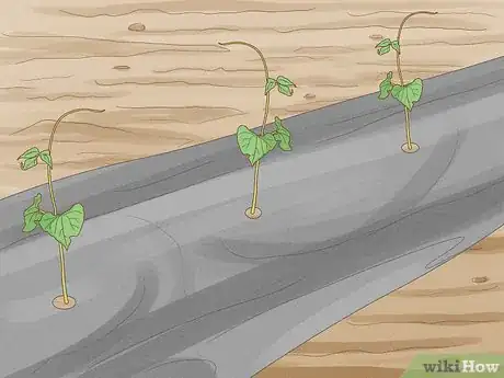 Image titled Prepare Garden Mulch Step 7