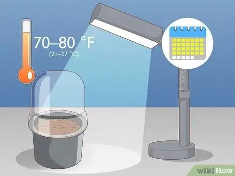 Image titled Propagate Pitcher Plants Step 18