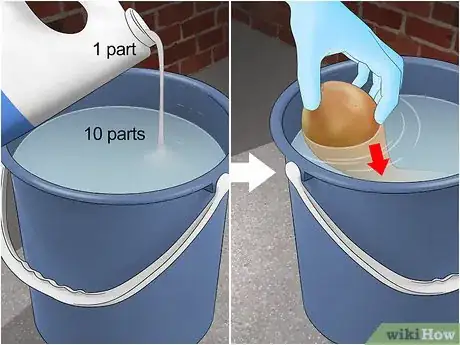 Image titled Clean Gourds Step 4