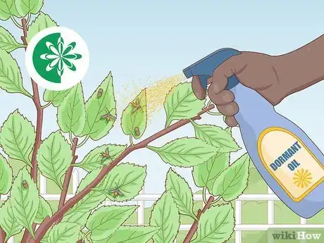 Image titled Deal with Cherry Tree Pests Step 13