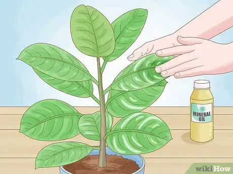 Image titled Clean Plant Leaves Step 7