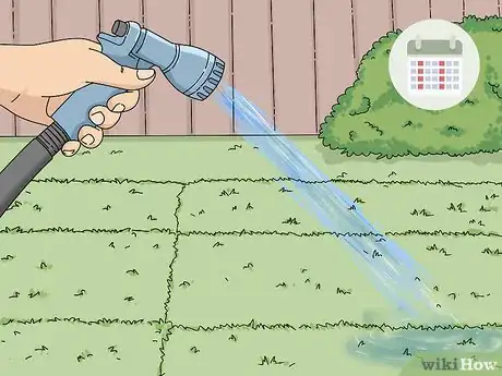 Image titled Take Care of Sod Step 4