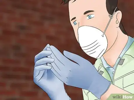 Image titled Clean Gourds Step 2