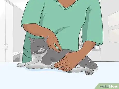 Image titled Keep a Cat in Your Yard Step 4