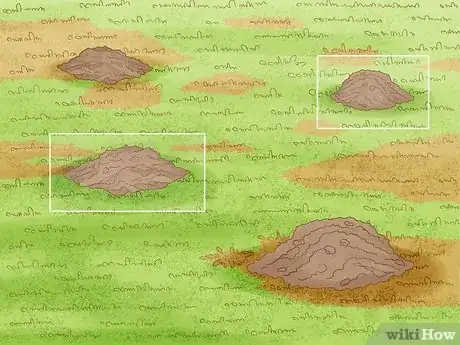 Image titled Get Rid of Moles in Your Garden Step 1