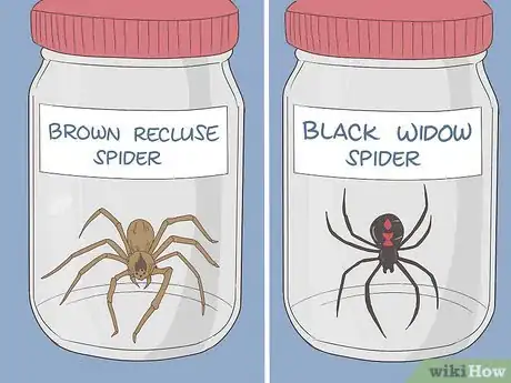 Image titled Treat Spider Bites on Kids Step 8