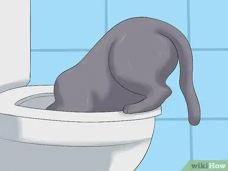 Image titled Diagnose Kidney Failure in Cats Step 3