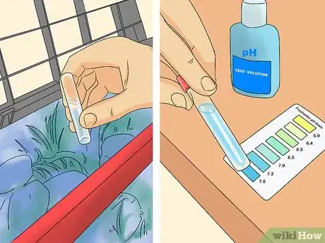 Image titled Take Care of Baby Carp Step 6