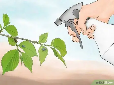 Image titled Kill Japanese Beetles Step 2