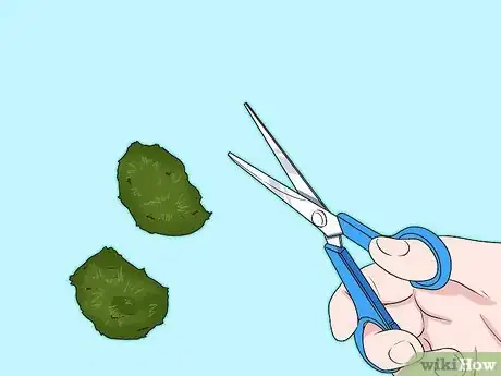 Image titled Care for Marimos Step 12