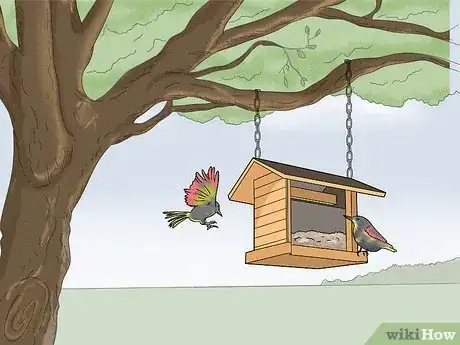 Image titled Keep Hornets Away Step 5