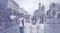 Ödland in Kraków from Sankta Lucia