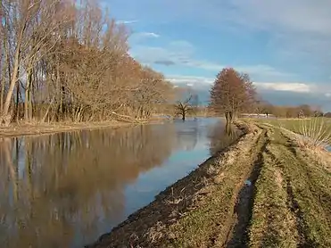 Haná River in Vyškov Gate, Moravia