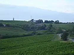 Železna Gora