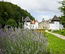 Žiče Charterhouse from monastic Herb Garden
