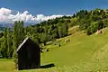 Traditional northern Romanian wooden church